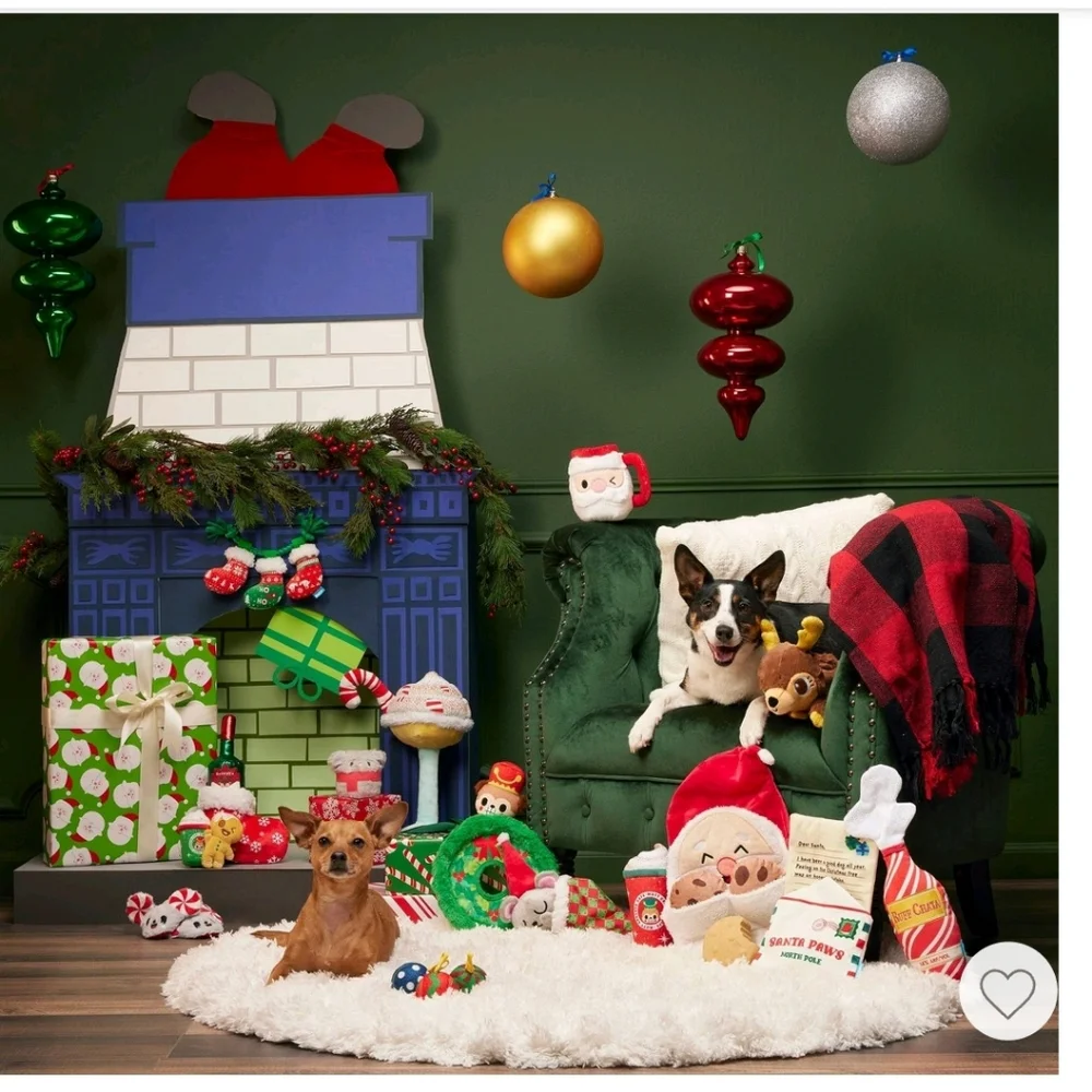 Bark Holiday Wreath Toss Dog Toss